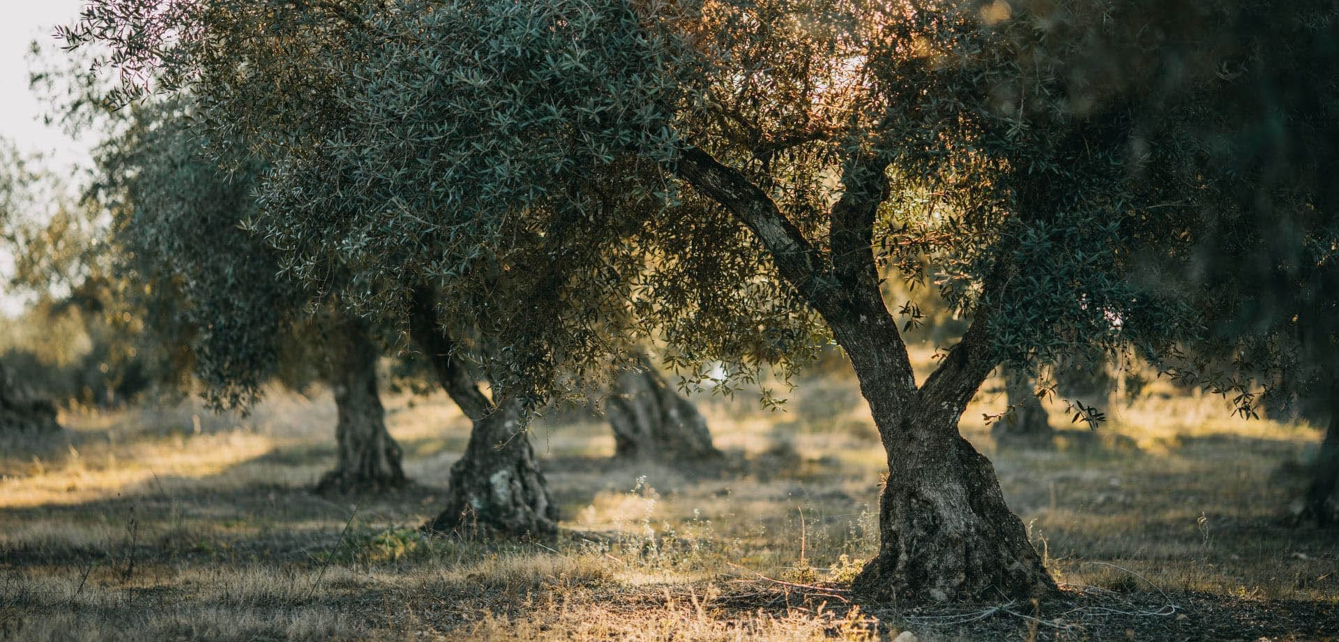 Ανθεκτικα - Αποδοτικα - Αξιοπιστα 
